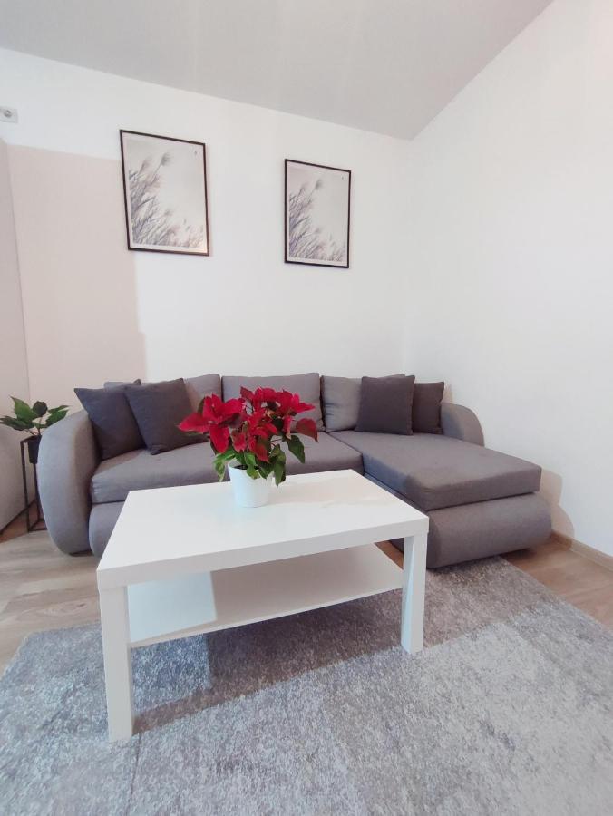 Central Residence Baia Mare Extérieur photo